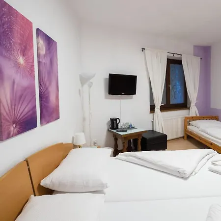 Heimgartl Bed and breakfast